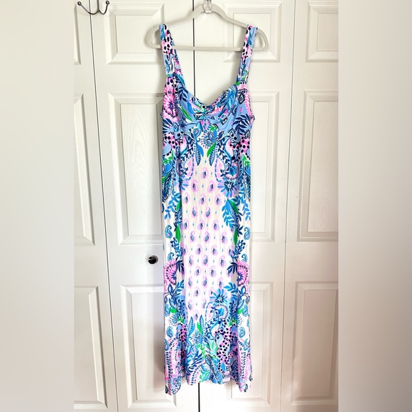 🦄 RARE Lilly Pulitzer Ambria Maxi Dress Macademia Haute Cature Engineered - Picture 7 of 8